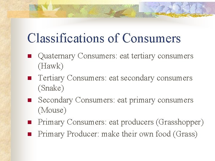 Classifications of Consumers n n n Quaternary Consumers: eat tertiary consumers (Hawk) Tertiary Consumers: