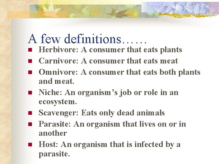 A few definitions…… n n n n Herbivore: A consumer that eats plants Carnivore: