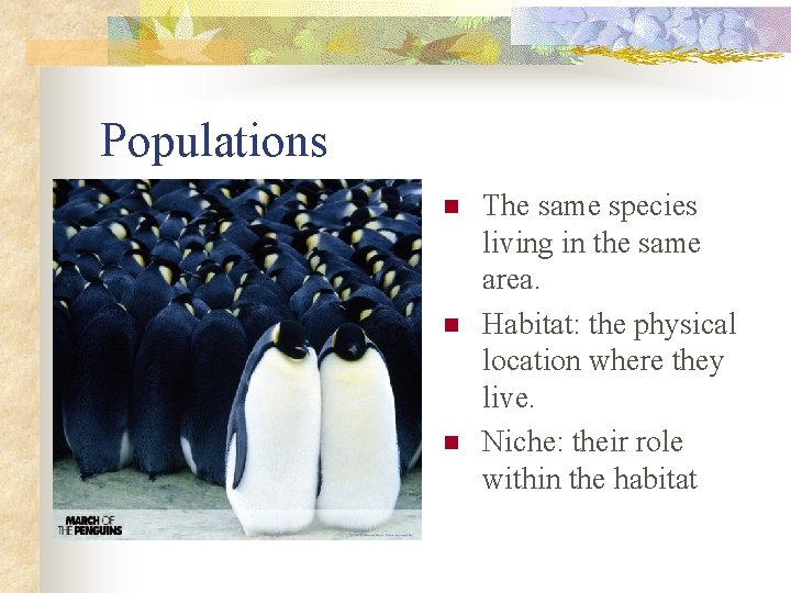 Populations n n n The same species living in the same area. Habitat: the
