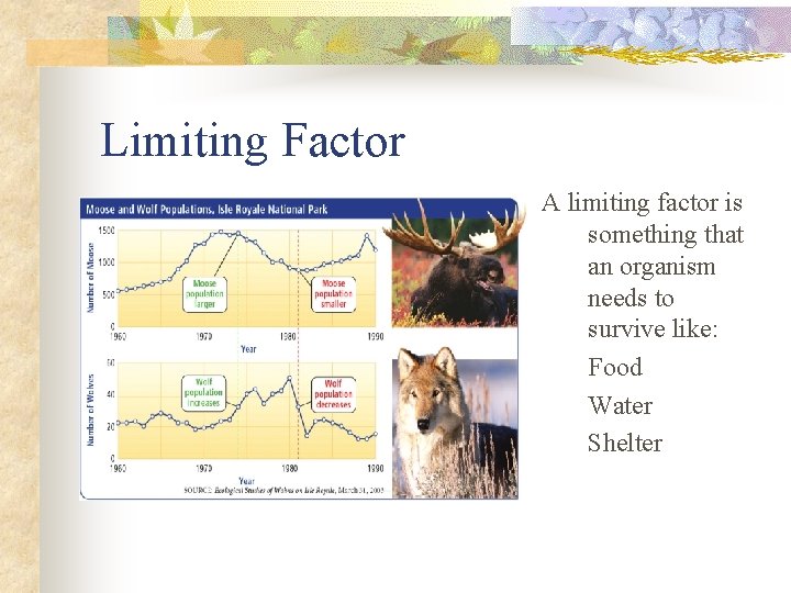 Limiting Factor A limiting factor is something that an organism needs to survive like: