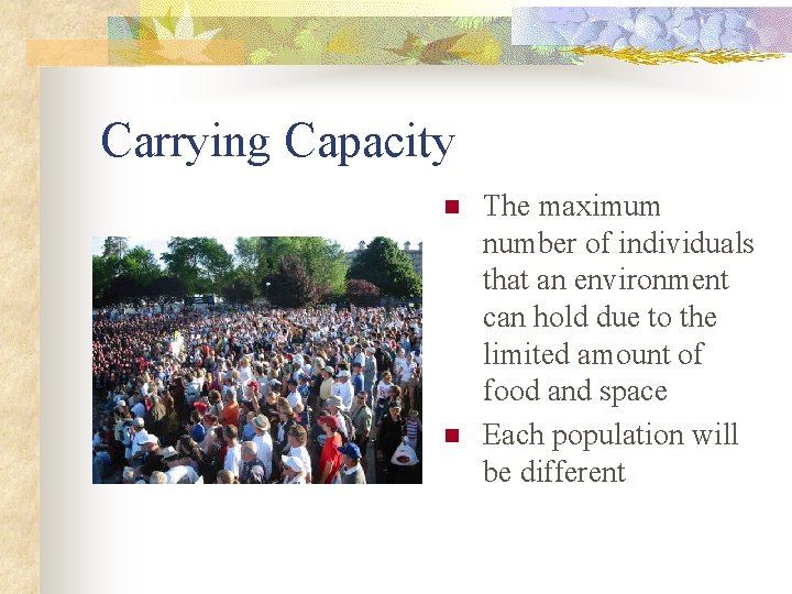 Carrying Capacity n n The maximum number of individuals that an environment can hold