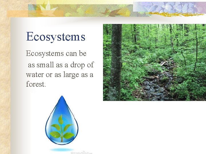 Ecosystems can be as small as a drop of water or as large as