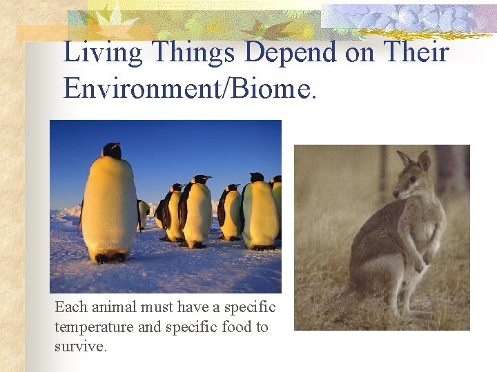 Living Things Depend on Their Environment/Biome. Each animal must have a specific temperature and
