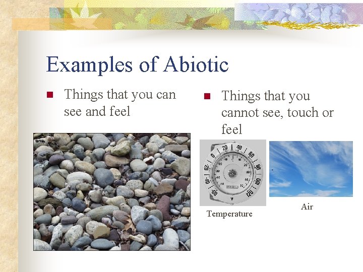 Examples of Abiotic n Things that you can see and feel n Things that