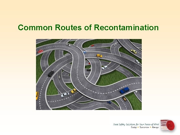 Common Routes of Recontamination 