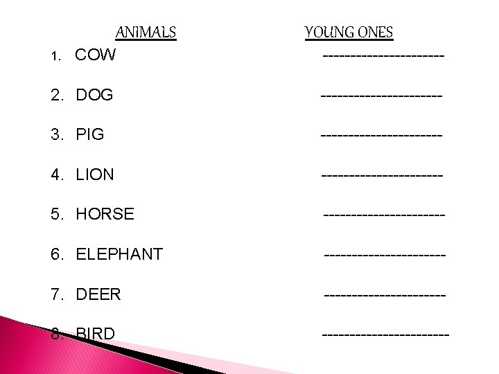ANIMALS YOUNG ONES COW ----------- 2. DOG ----------- 3. PIG ----------- 4. LION -----------