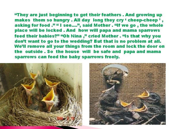 “They are just beginning to get their feathers. And growing up makes them so