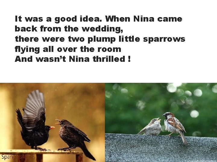 It was a good idea. When Nina came back from the wedding, there were