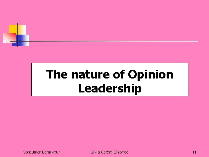 The nature of Opinion Leadership Consumer Behaviour Silvia Cacho-Elizondo 11 