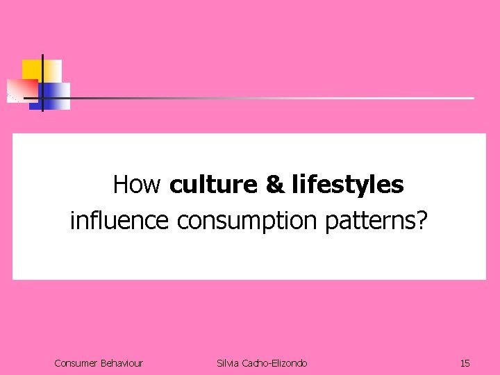 How culture & lifestyles influence consumption patterns? Consumer Behaviour Silvia Cacho-Elizondo 15 