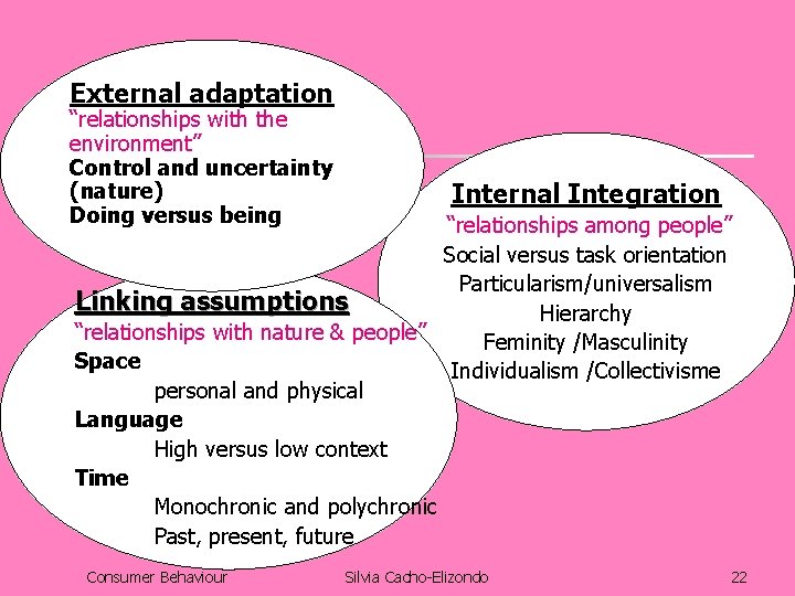 External adaptation “relationships with the environment” Control and uncertainty (nature) Doing versus being Internal