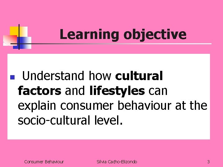 Learning objective n Understand how cultural factors and lifestyles can explain consumer behaviour at