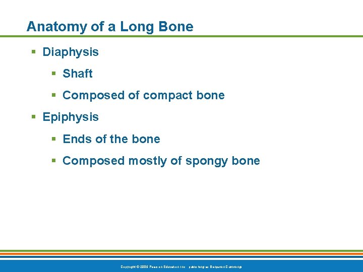 Anatomy of a Long Bone § Diaphysis § Shaft § Composed of compact bone