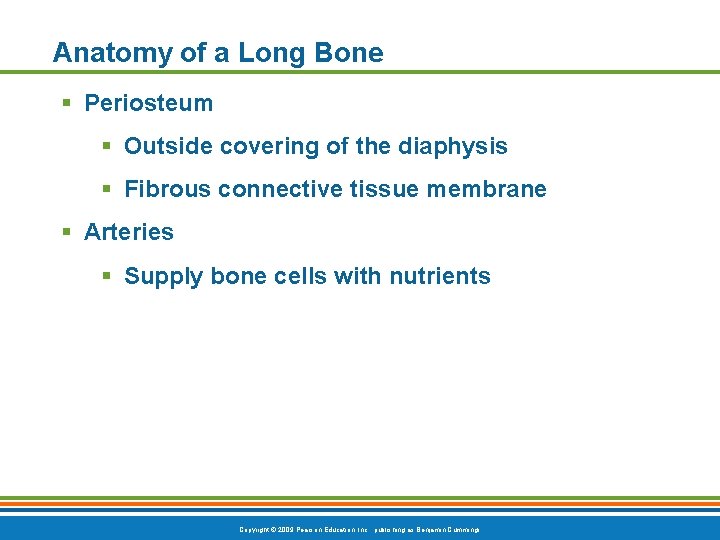 Anatomy of a Long Bone § Periosteum § Outside covering of the diaphysis §
