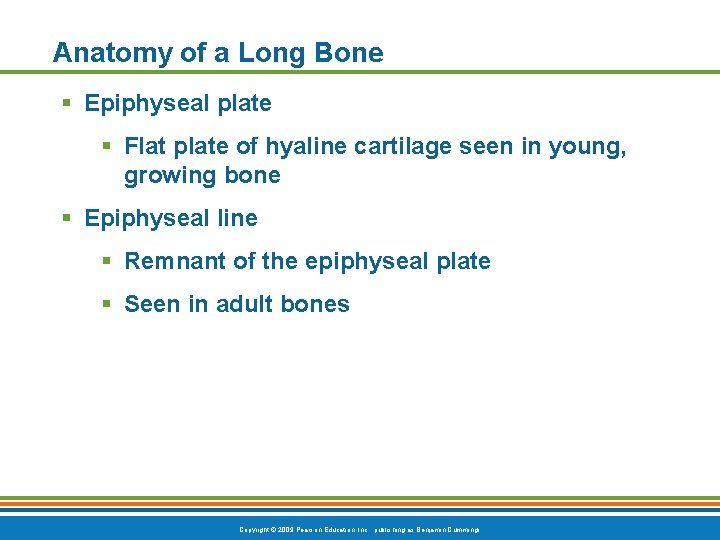 Anatomy of a Long Bone § Epiphyseal plate § Flat plate of hyaline cartilage