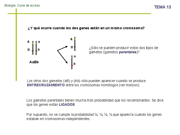 Biología. Curso de acceso TEMA 13 ¿Y qué ocurre cuando los dos genes están