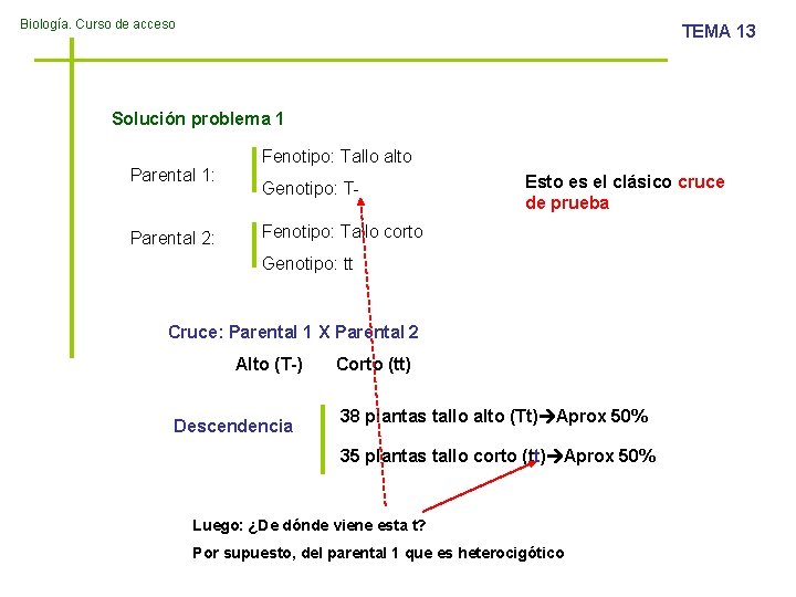 Biología. Curso de acceso TEMA 13 Solución problema 1 Parental 1: Parental 2: Fenotipo: