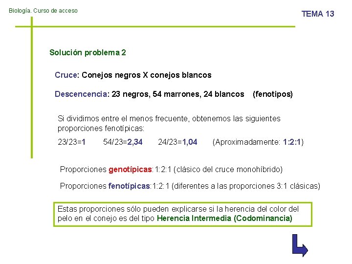 Biología. Curso de acceso TEMA 13 Solución problema 2 Cruce: Conejos negros X conejos