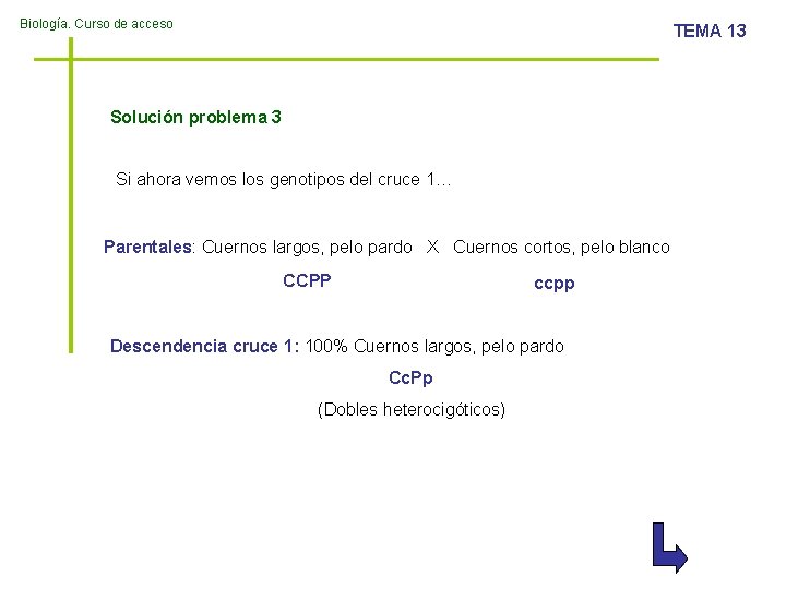 Biología. Curso de acceso TEMA 13 Solución problema 3 Si ahora vemos los genotipos