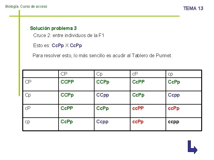 Biología. Curso de acceso TEMA 13 Solución problema 3 Cruce 2: entre individuos de