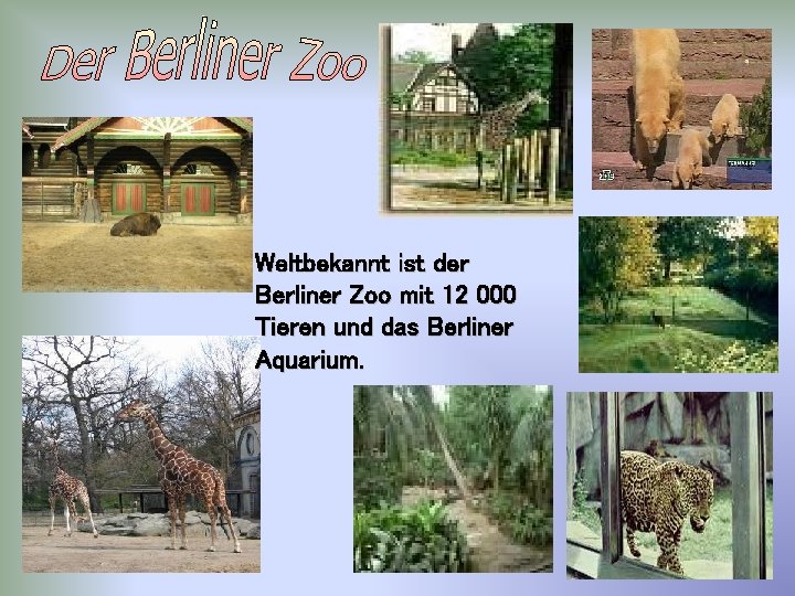 Weltbekannt ist der Berliner Zoo mit 12 000 Tieren und das Berliner Aquarium. 