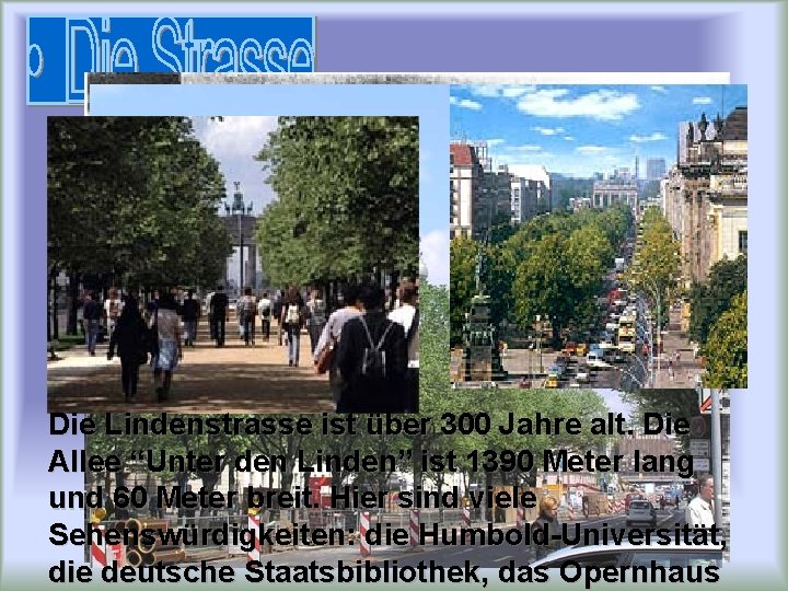 Die Lindenstrasse ist über 300 Jahre alt. Die Allee “Unter den Linden” ist 1390