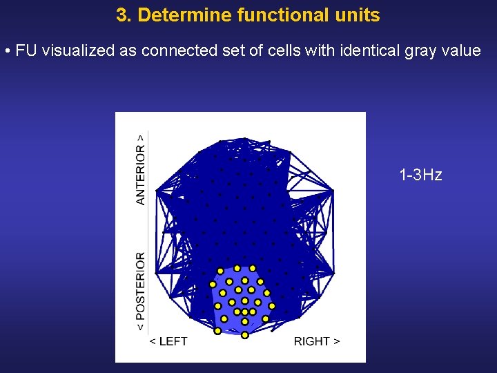 3. Determine functional units • FU visualized as connected set of cells with identical