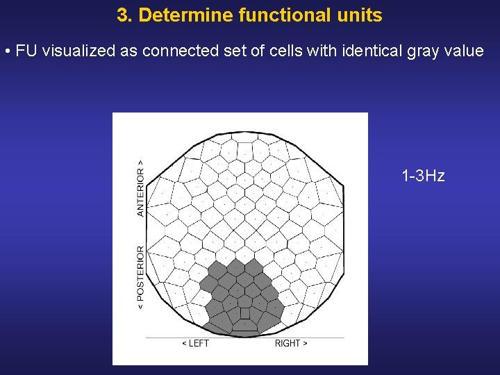 3. Determine functional units • FU visualized as connected set of cells with identical