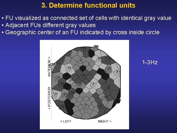 3. Determine functional units • FU visualized as connected set of cells with identical
