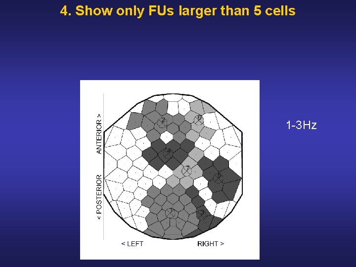 4. Show only FUs larger than 5 cells 1 3 Hz 