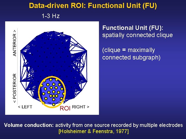 Data-driven ROI: Functional Unit (FU) 1 3 Hz Functional Unit (FU): spatially connected clique