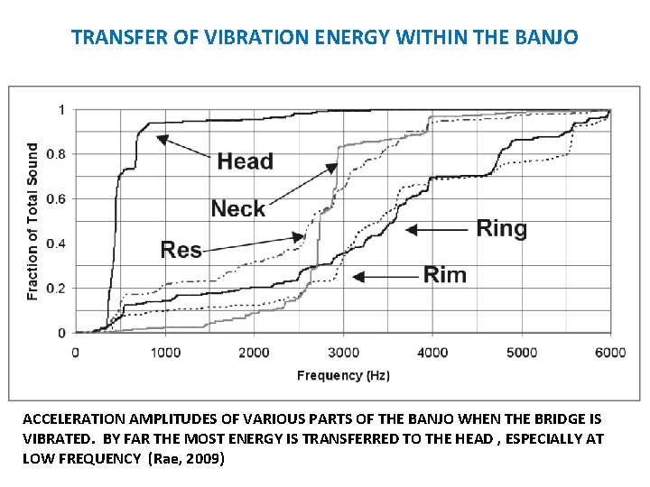 TRANSFER OF VIBRATION ENERGY WITHIN THE BANJO ACCELERATION AMPLITUDES OF VARIOUS PARTS OF THE