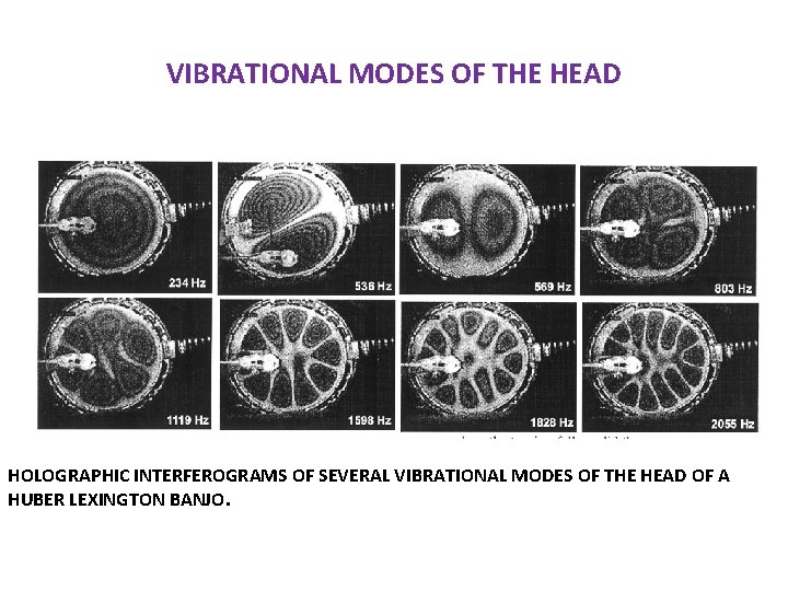 VIBRATIONAL MODES OF THE HEAD HOLOGRAPHIC INTERFEROGRAMS OF SEVERAL VIBRATIONAL MODES OF THE HEAD