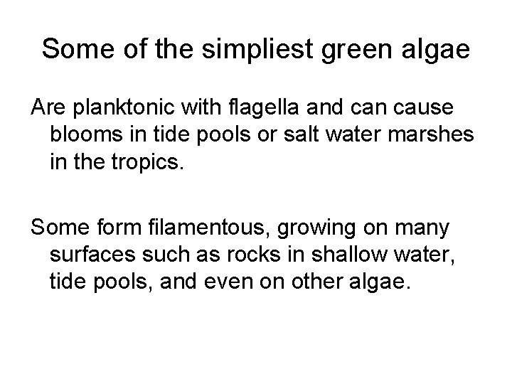 Some of the simpliest green algae Are planktonic with flagella and can cause blooms