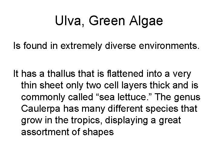 Ulva, Green Algae Is found in extremely diverse environments. It has a thallus that