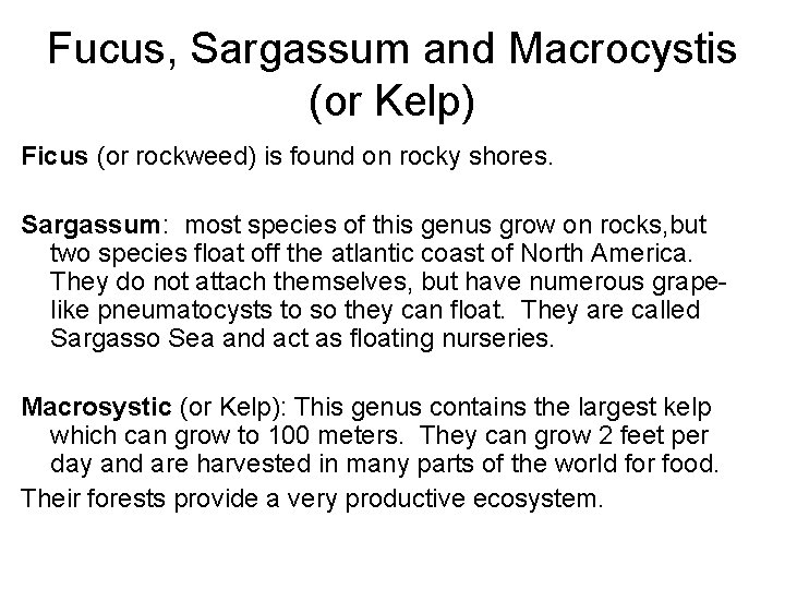 Fucus, Sargassum and Macrocystis (or Kelp) Ficus (or rockweed) is found on rocky shores.