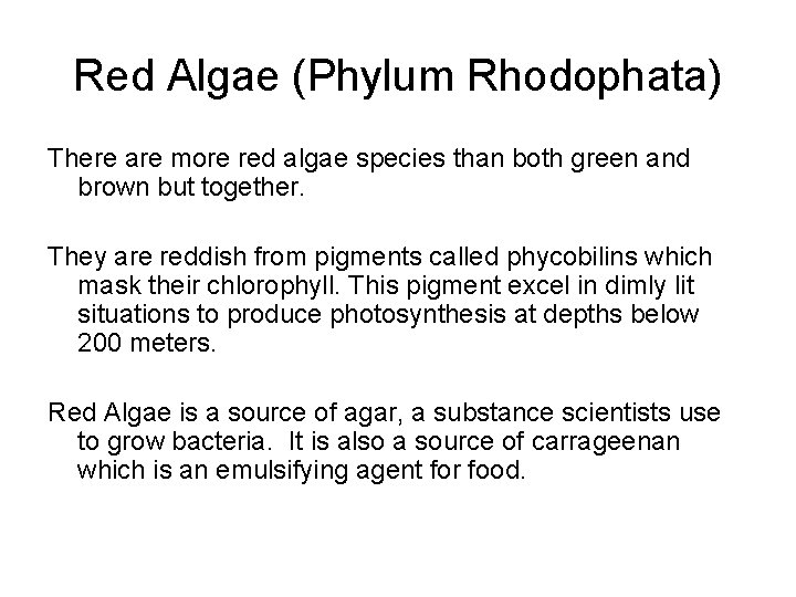 Red Algae (Phylum Rhodophata) There are more red algae species than both green and