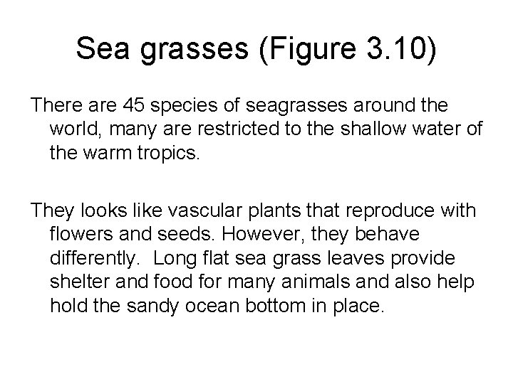 Sea grasses (Figure 3. 10) There are 45 species of seagrasses around the world,