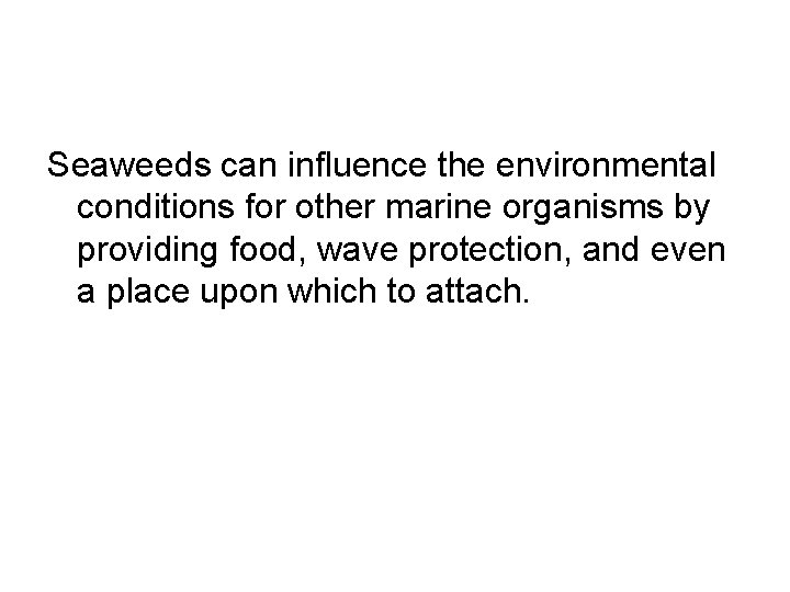 Seaweeds can influence the environmental conditions for other marine organisms by providing food, wave