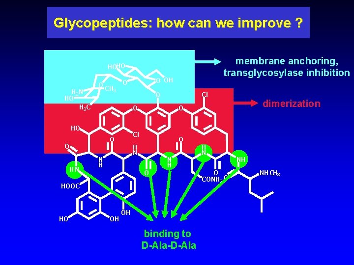 Glycopeptides: how can we improve ? membrane anchoring, transglycosylase inhibition HOHO O H 2