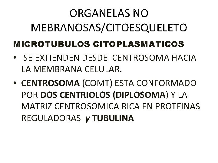 ORGANELAS NO MEBRANOSAS/CITOESQUELETO MICROTUBULOS CITOPLASMATICOS • SE EXTIENDEN DESDE CENTROSOMA HACIA LA MEMBRANA CELULAR.