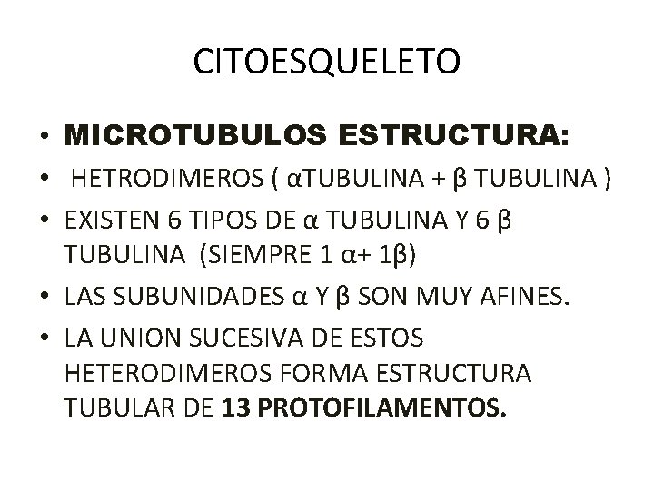 CITOESQUELETO • MICROTUBULOS ESTRUCTURA: • HETRODIMEROS ( αTUBULINA + β TUBULINA ) • EXISTEN