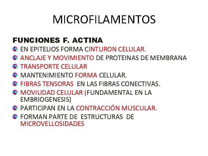 MICROFILAMENTOS FUNCIONES F. ACTINA EN EPITELIOS FORMA CINTURON CELULAR. ANCLAJE Y MOVIMIENTO DE PROTEINAS