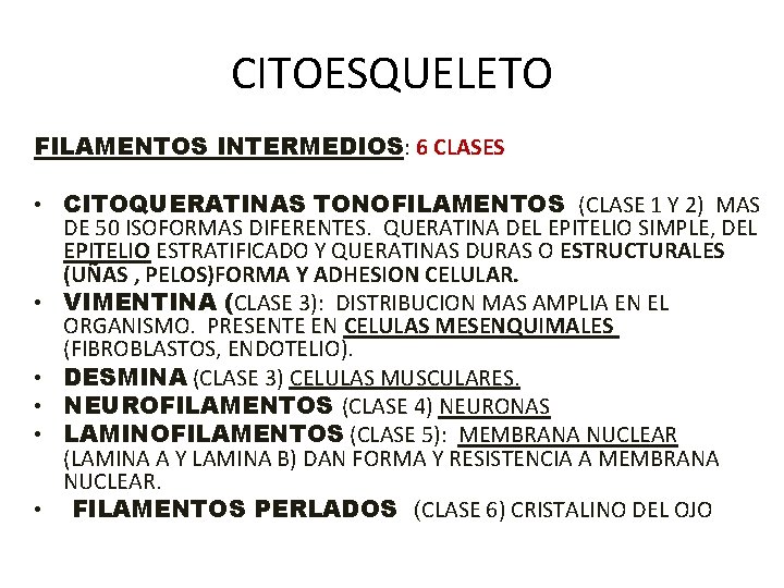 CITOESQUELETO FILAMENTOS INTERMEDIOS: 6 CLASES • CITOQUERATINAS TONOFILAMENTOS (CLASE 1 Y 2) MAS DE