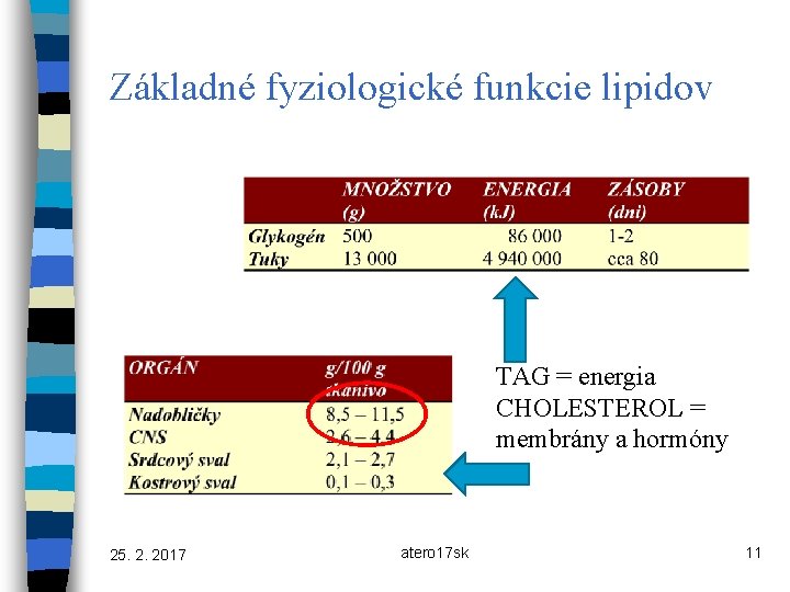 Základné fyziologické funkcie lipidov TAG = energia CHOLESTEROL = membrány a hormóny 25. 2.