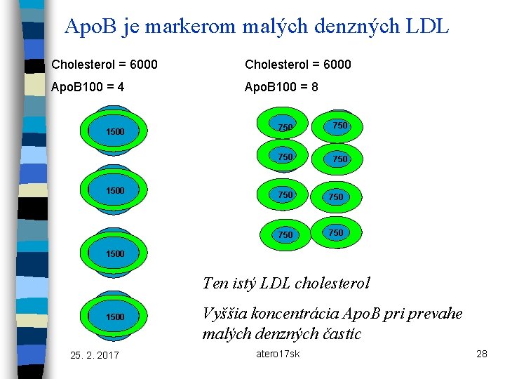 Apo. B je markerom malých denzných LDL Cholesterol = 6000 Apo. B 100 =