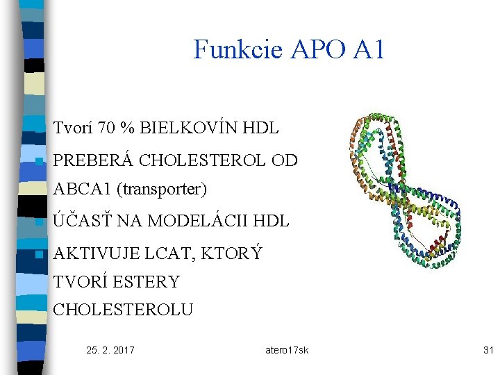 Funkcie APO A 1 n Tvorí 70 % BIELKOVÍN HDL n PREBERÁ CHOLESTEROL OD