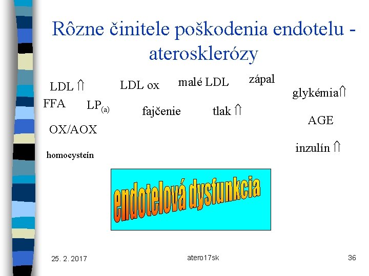 Rôzne činitele poškodenia endotelu aterosklerózy LDL FFA LP(a) LDL ox malé LDL fajčenie tlak