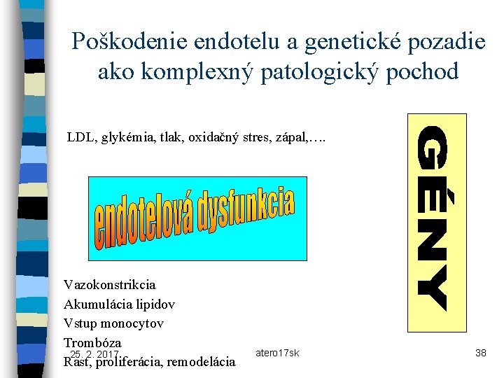 Poškodenie endotelu a genetické pozadie ako komplexný patologický pochod LDL, glykémia, tlak, oxidačný stres,