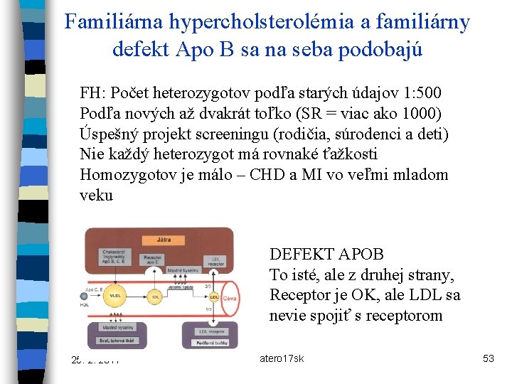 Familiárna hypercholsterolémia a familiárny defekt Apo B sa na seba podobajú FH: Počet heterozygotov